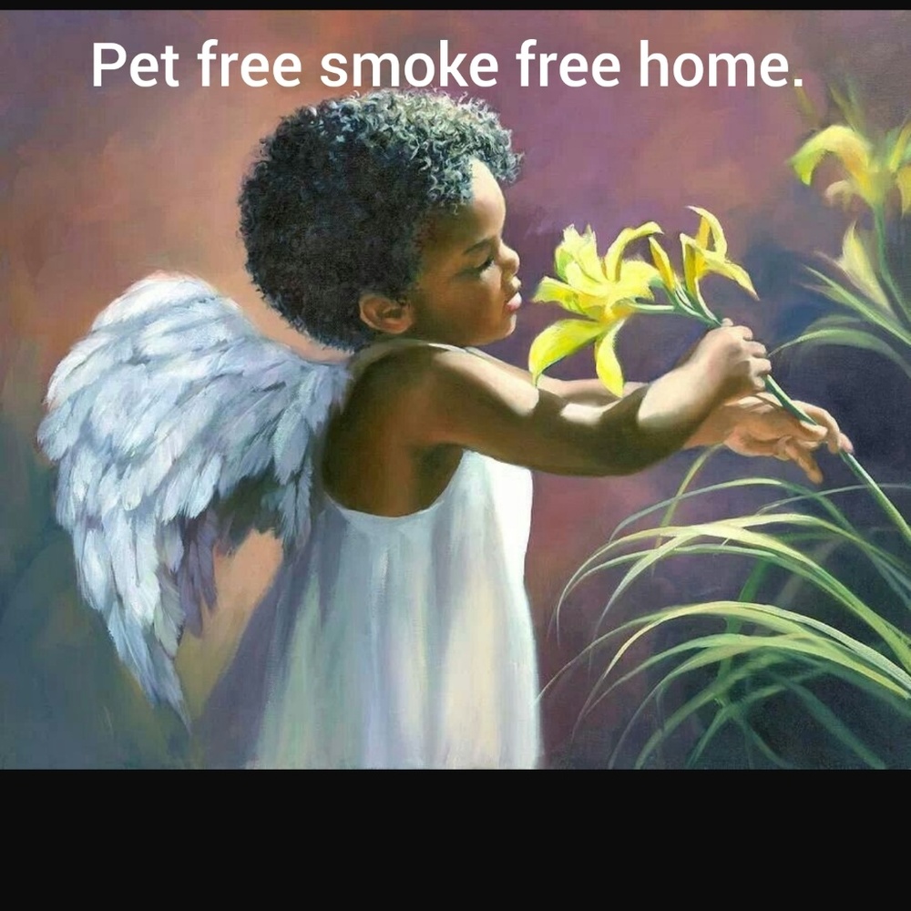 Pet free smoke free home